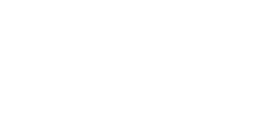 whitecatdetective-logo